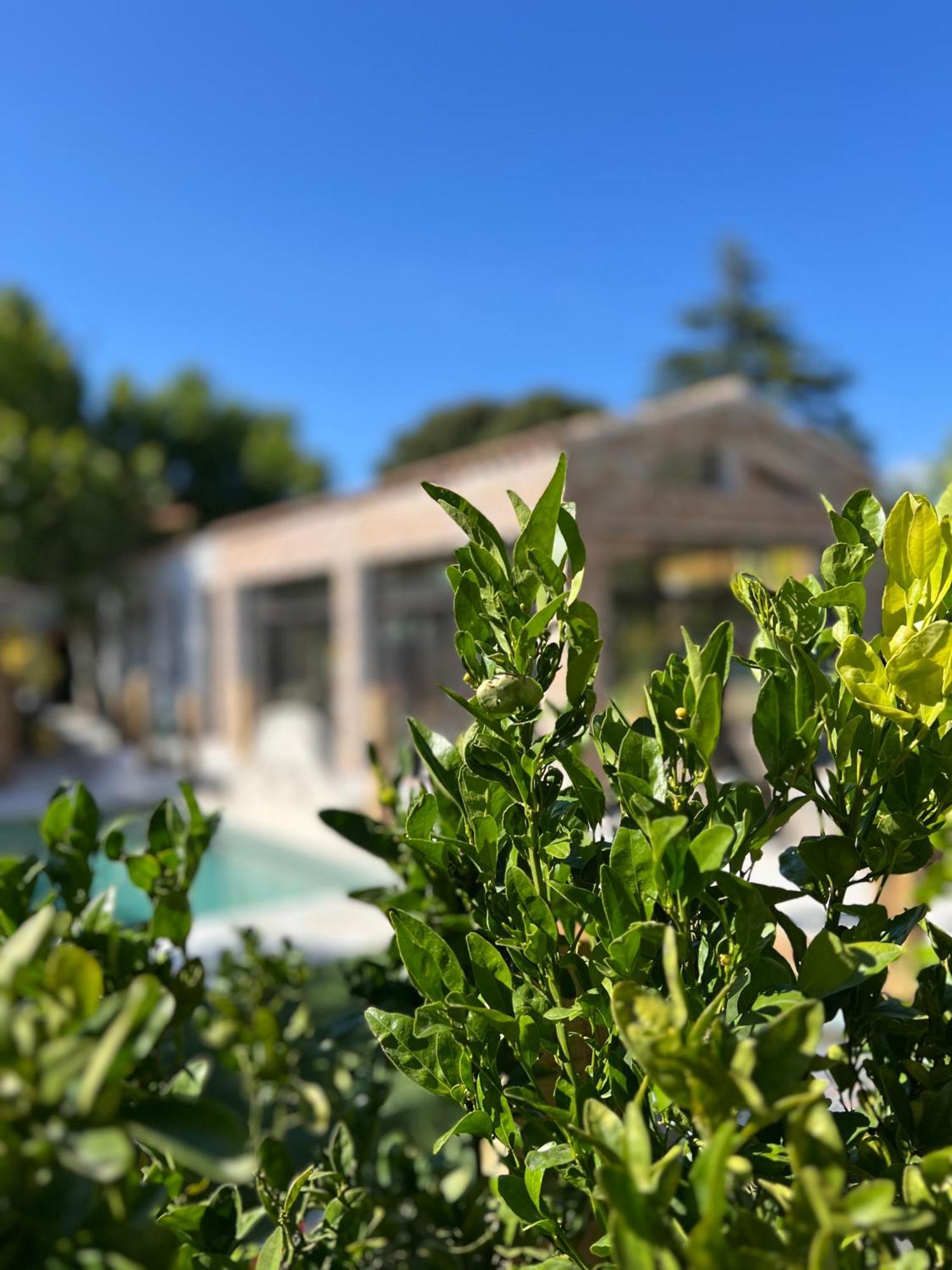 L'Intemporel Saint-Cyr-sur-Mer Exteriör bild